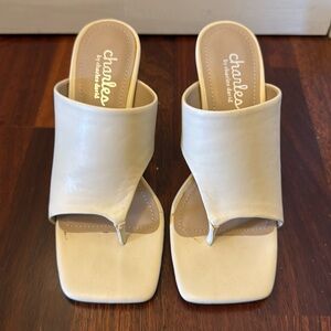 Charles by Charles David Block Heals